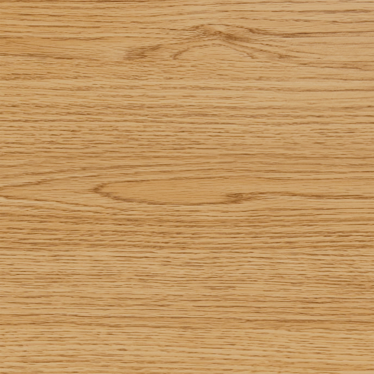 Skeleto bookcase 114x78 Wild Oak – a close-up of the shelf finish showing the distinct wood grain