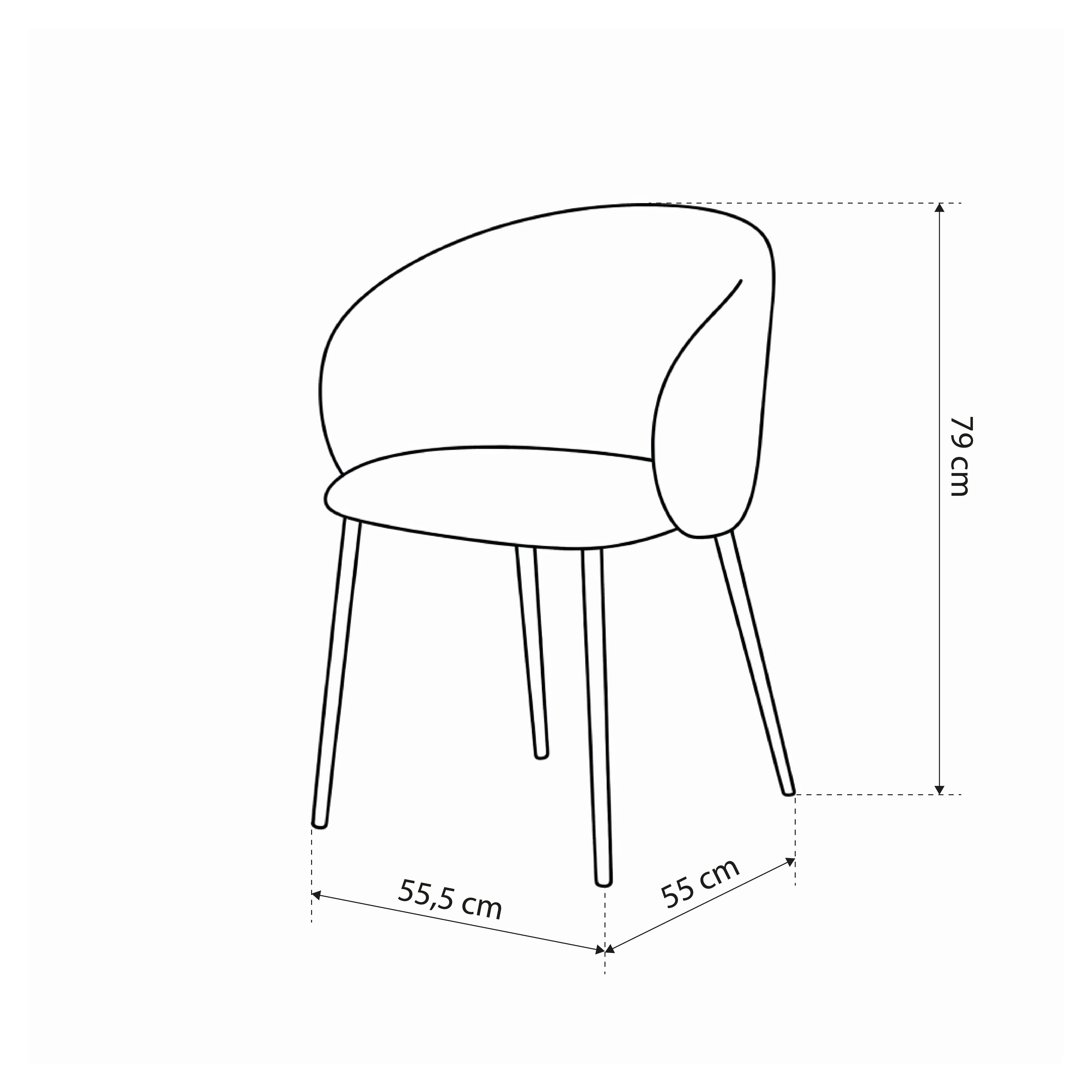 Set of two dining chairs in modern style | Delmo