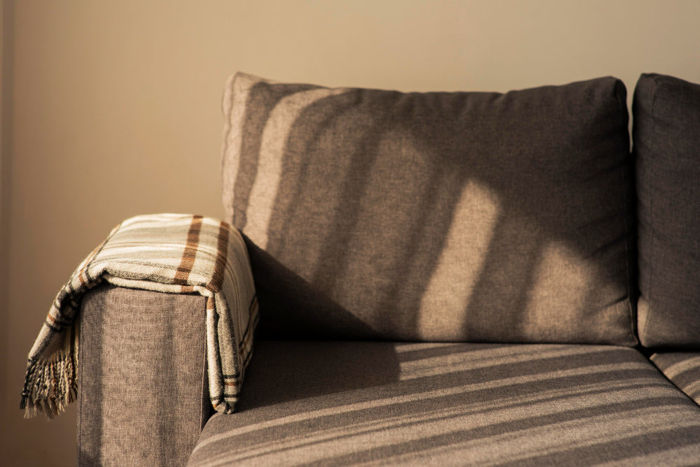 Velvet Sofa Pros and Cons: What You Should Know Before Buying