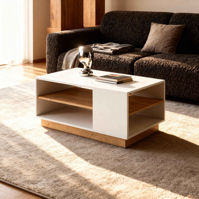 Stolik kawowy 100x46 w stylu nowoczesnym | Armelia