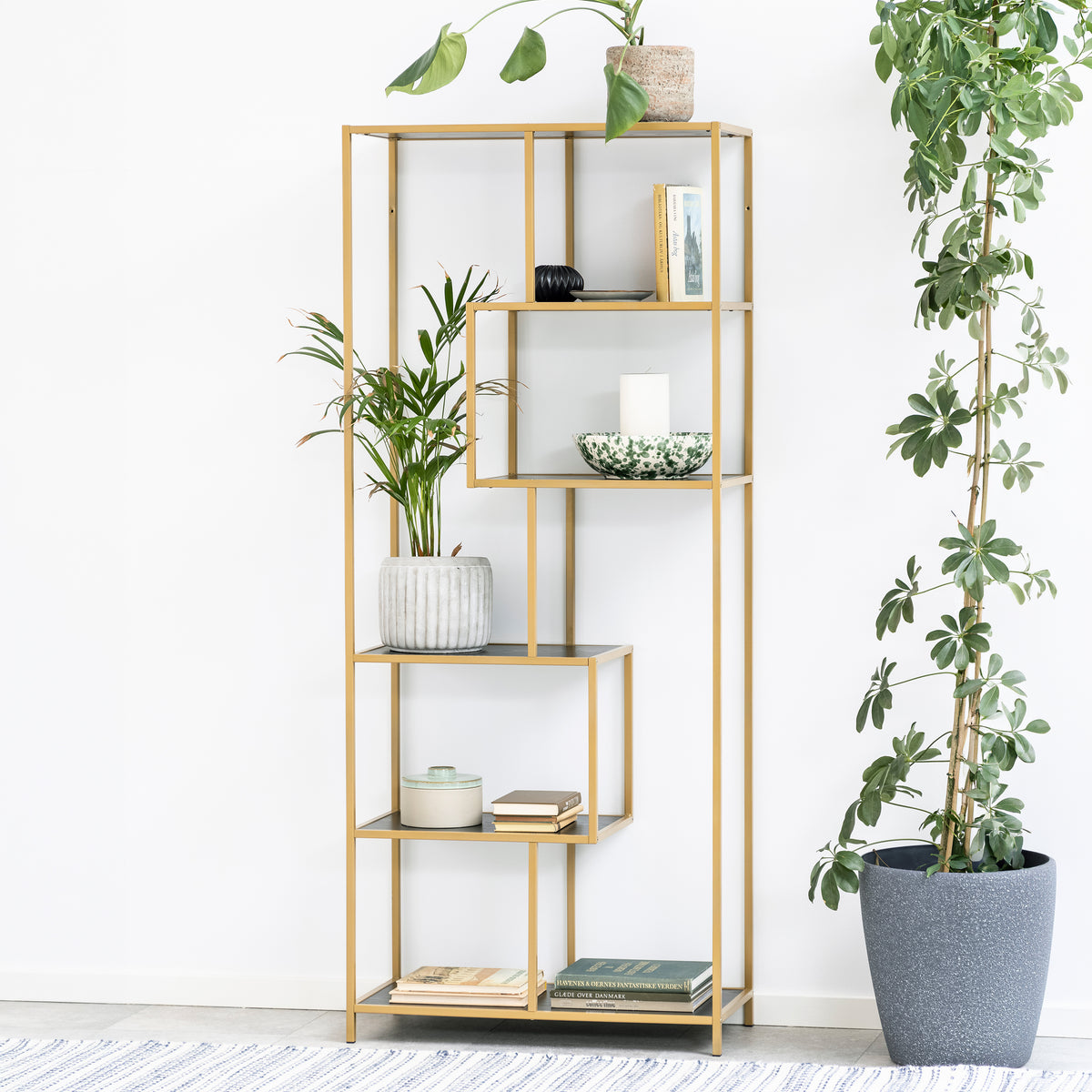 Skeleto bookcase, 77x185, black melamine (gold frame), against a white wall amongst potted plants – a glamorous bookcase