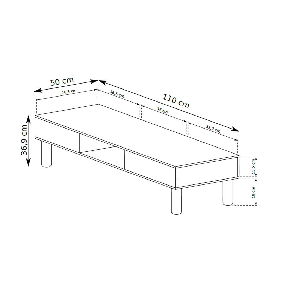 Coffee table 110x37 with open compartments in Scandinavian style | FJORD
