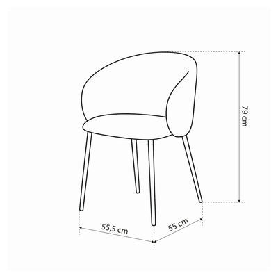 Set of two dining chairs in modern style | Delmo