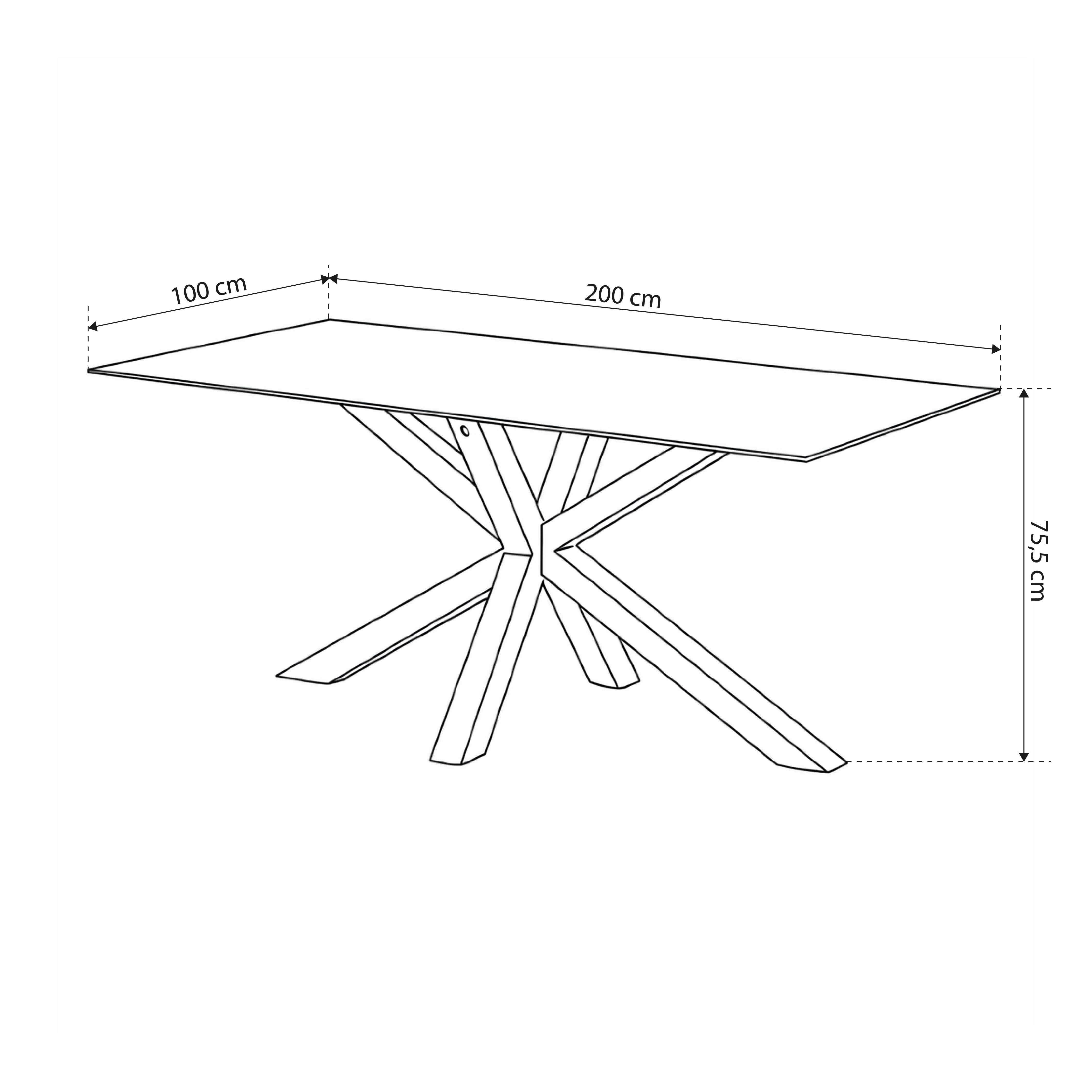 Dining table 200x76 cm in modern style | Oryss