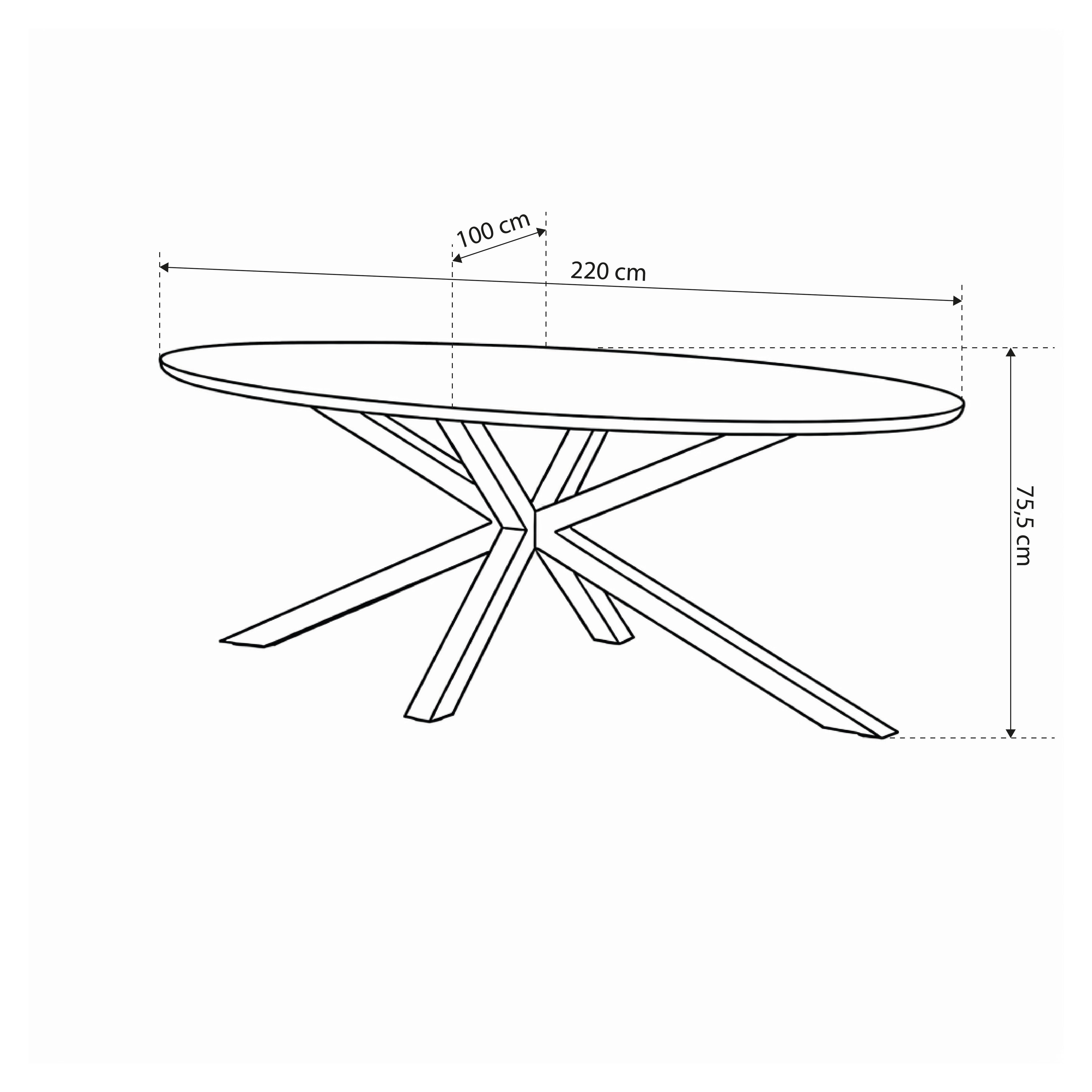 Large oval table 220x76 cm in industrial style | Surfo